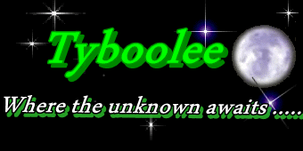 Tyboolee's Blog