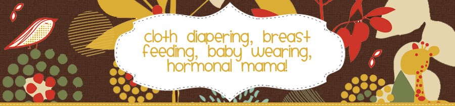 cloth diapering, breast feeding, baby wearing, hormonal mama
