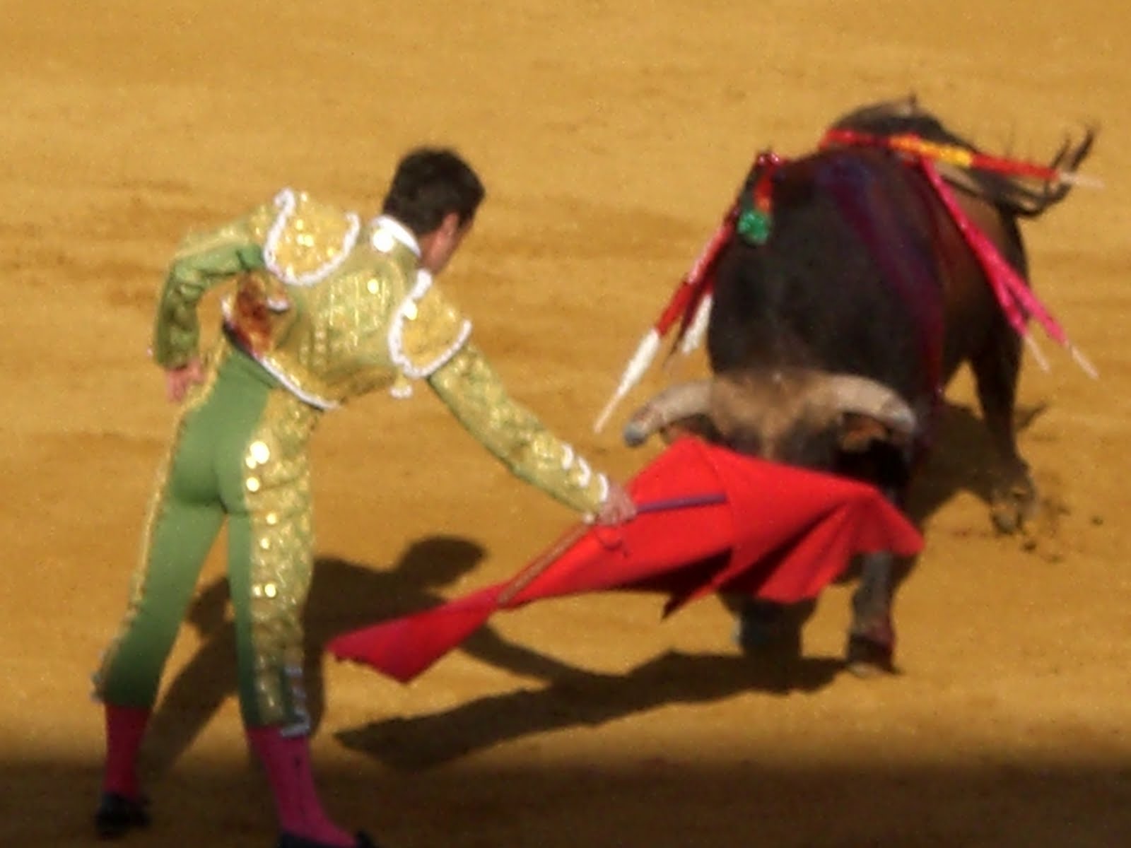 Bull Kills Matador
