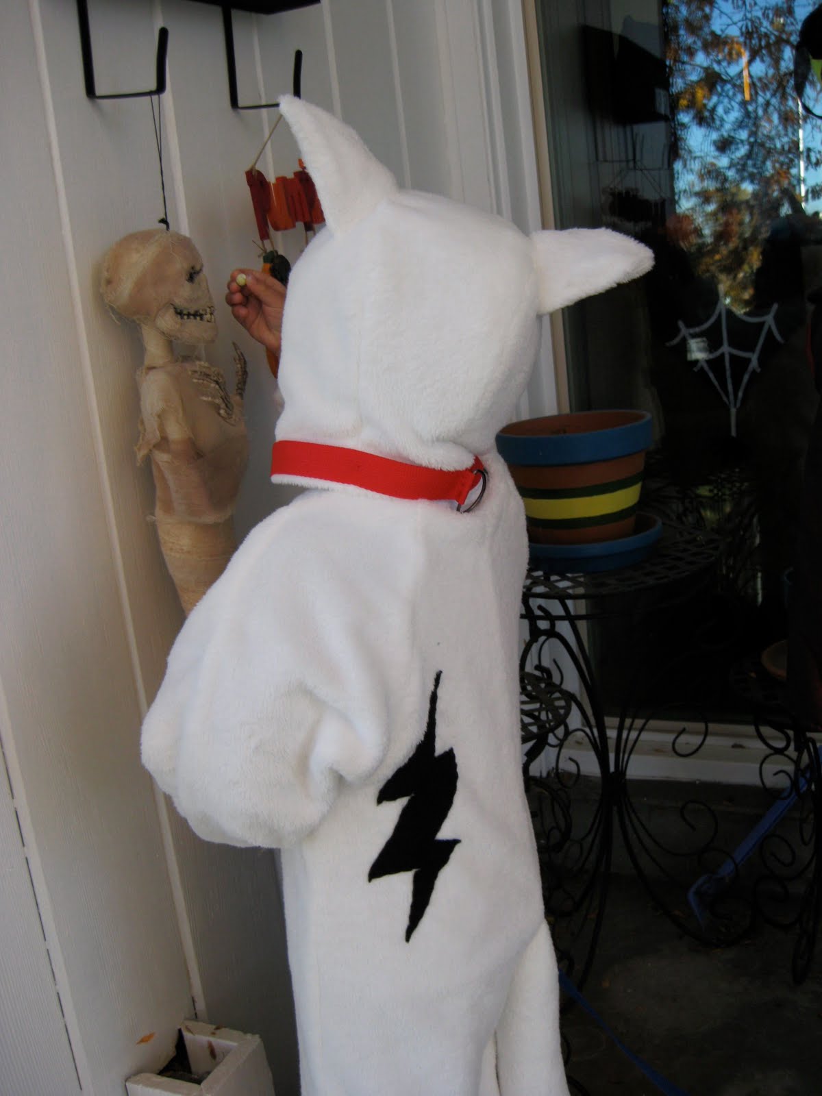 Bolt Costume