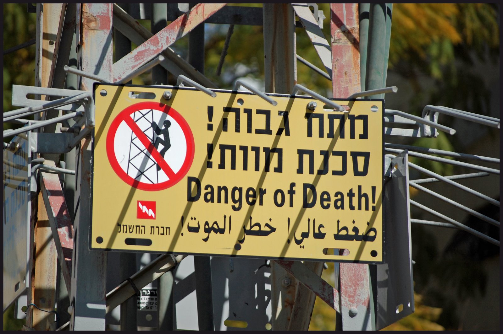 [DSC_0053.JPG]