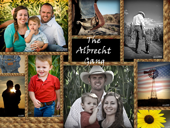 The Albrecht Gang