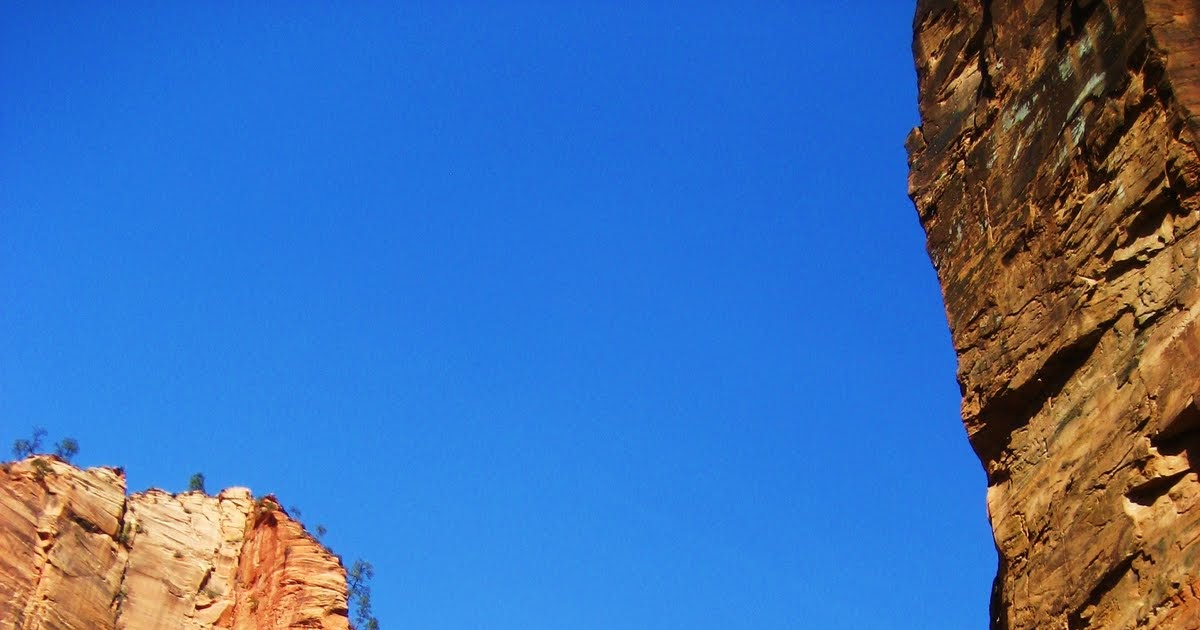 ROSY KIERA "The Baffled King Composing Hallelujah"