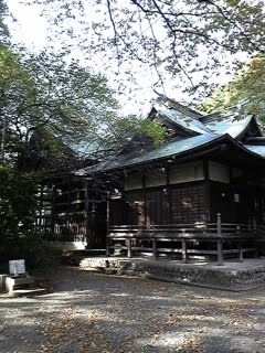 [DVC00005-757064.jpg]