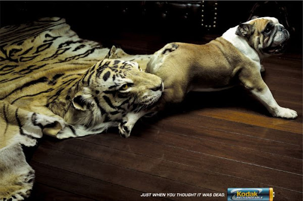 Amazing and Creative Print Advertisements images
