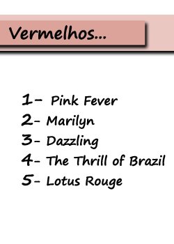 [vermelhos+nomes+copy.jpg]