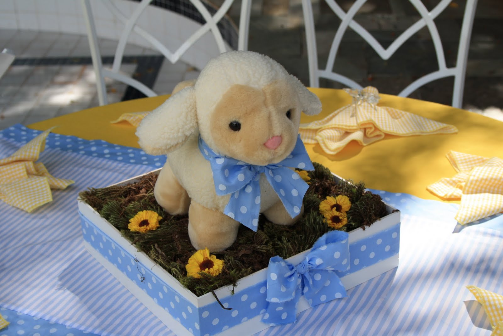 [IMG_0051.jpg]