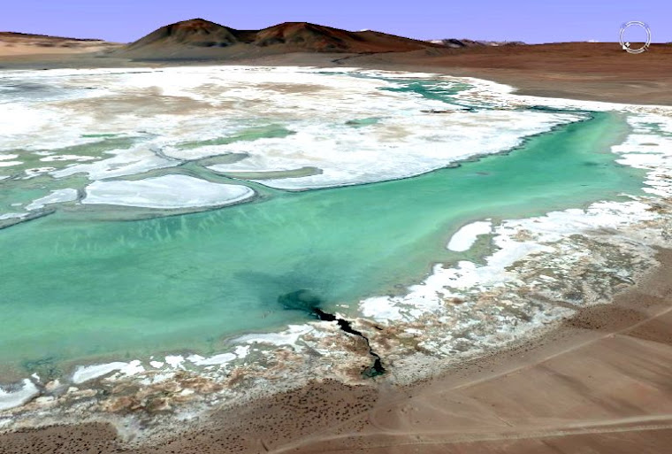 El Salar del Huasco, en peligro