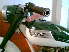 triumph............terrir