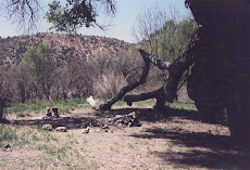 gila river
