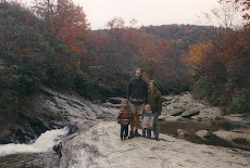 graveyard fields