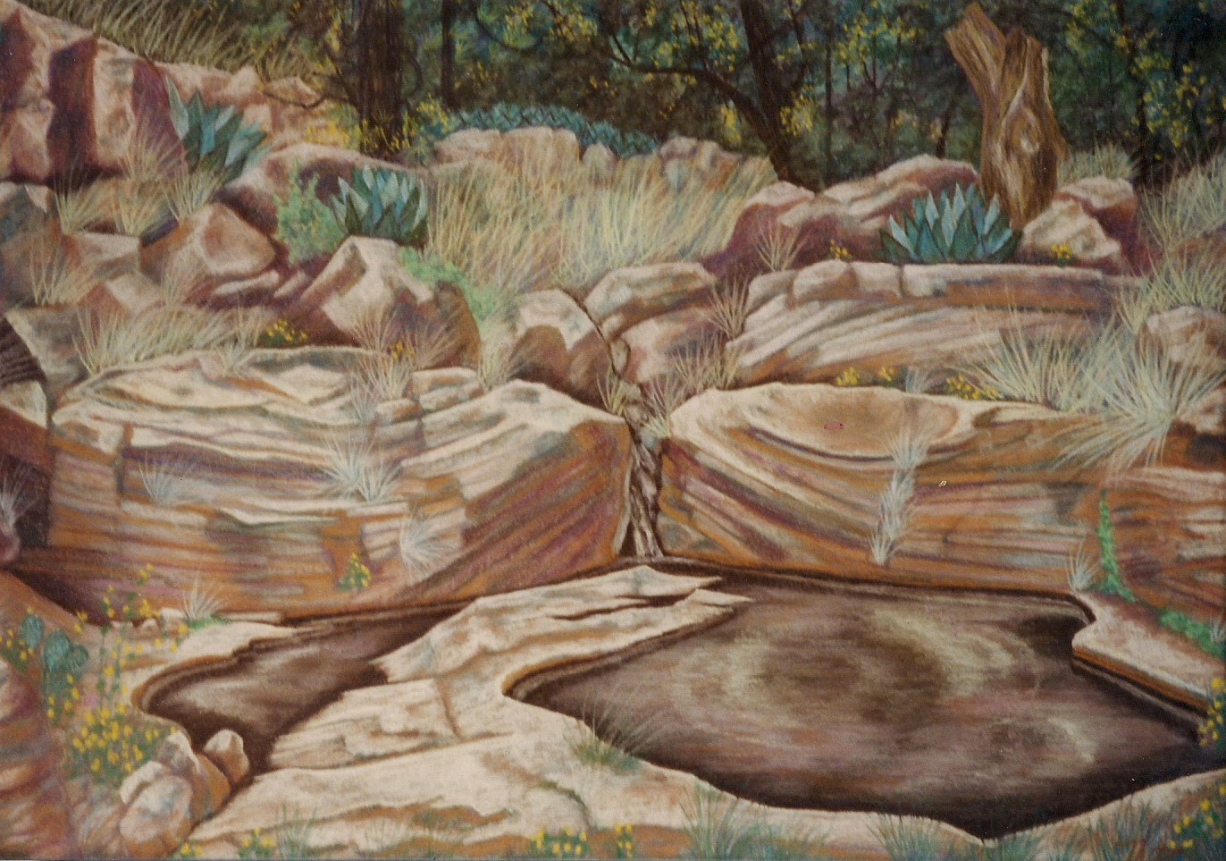 [clay+brook.jpg"><img style=]