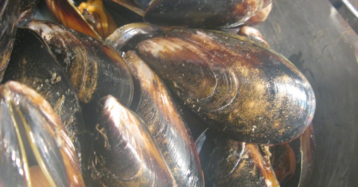 The Food Vine mussels with pernod and mayonnaise
