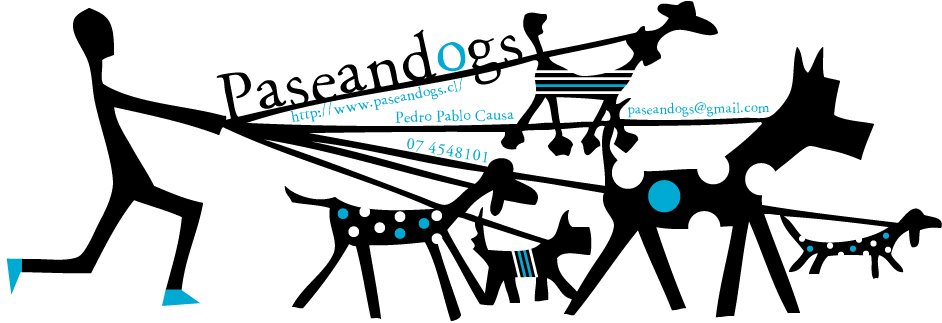 PaseanDogs Paseos Caninos