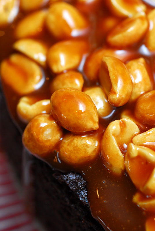 [Caramel-Brownie-Cake-5.jpg]