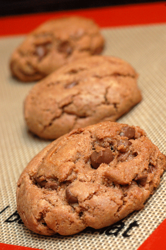 [Double-Chocolate-Cookies-2.gif]