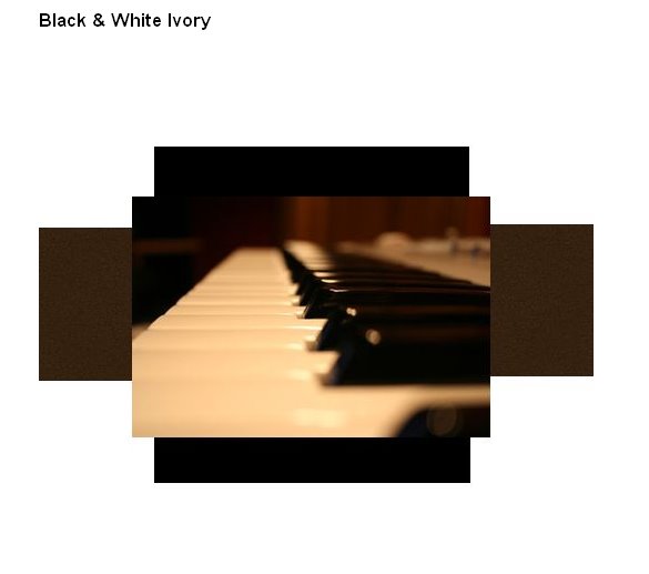 [black+ivory.bmp]