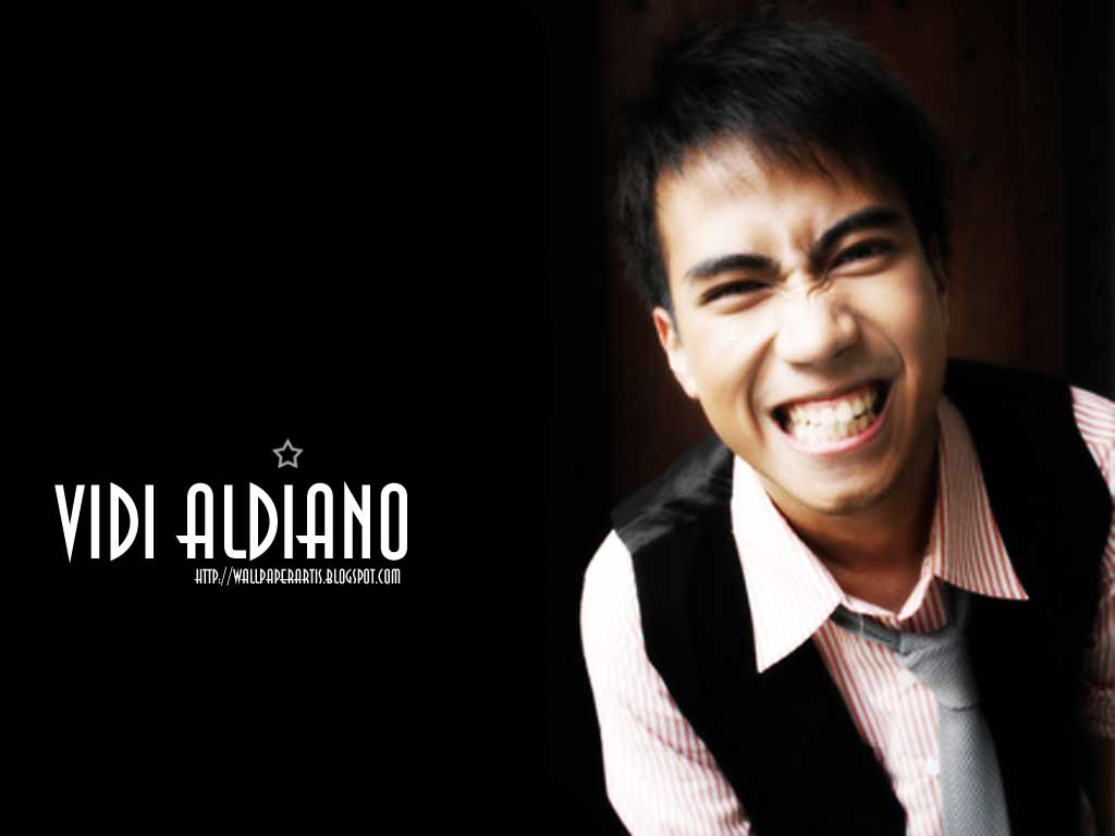 Something So Beautiful Biodata Vidi Aldiano
