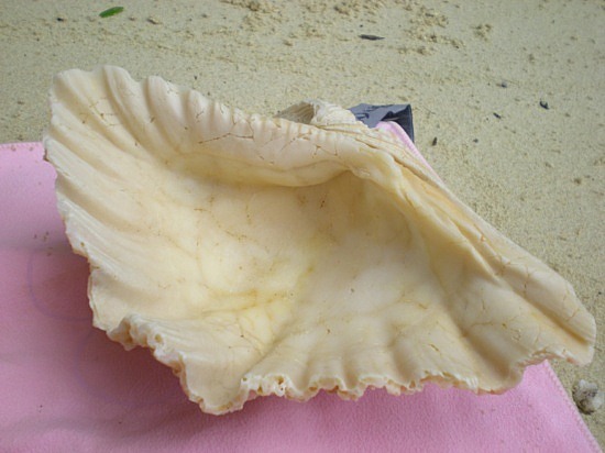 See the source image