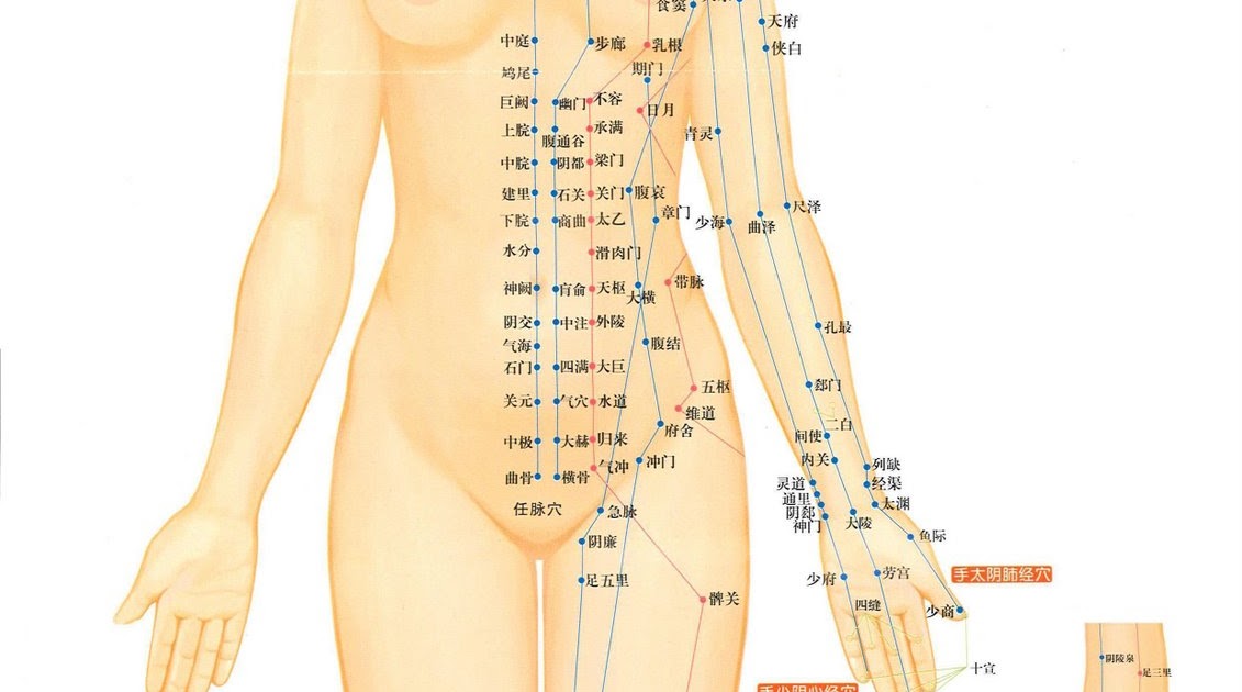 Ancient Chinese Medicine guideHuangdi Neijing Woman Acupuncture