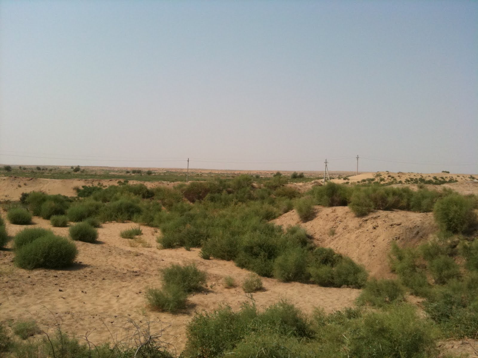 Central Asia & Caucasus Field Journal August 2010