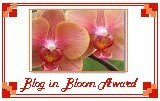 Blog In Bloom