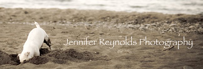 Jennifer Reynolds Photography