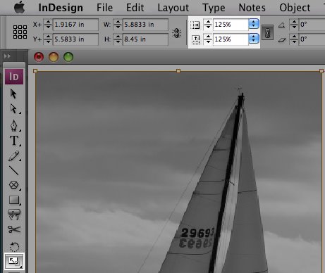 [InDesign+resize.jpg]