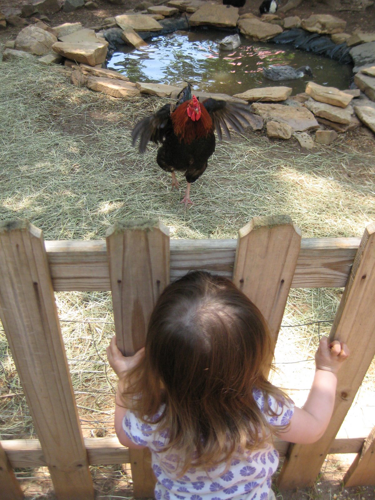 [IMG_1000.JPG]