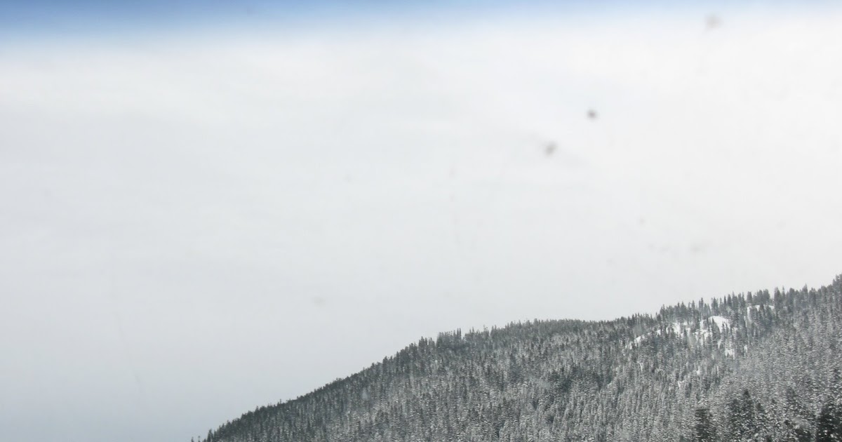 A Black And White Weekend