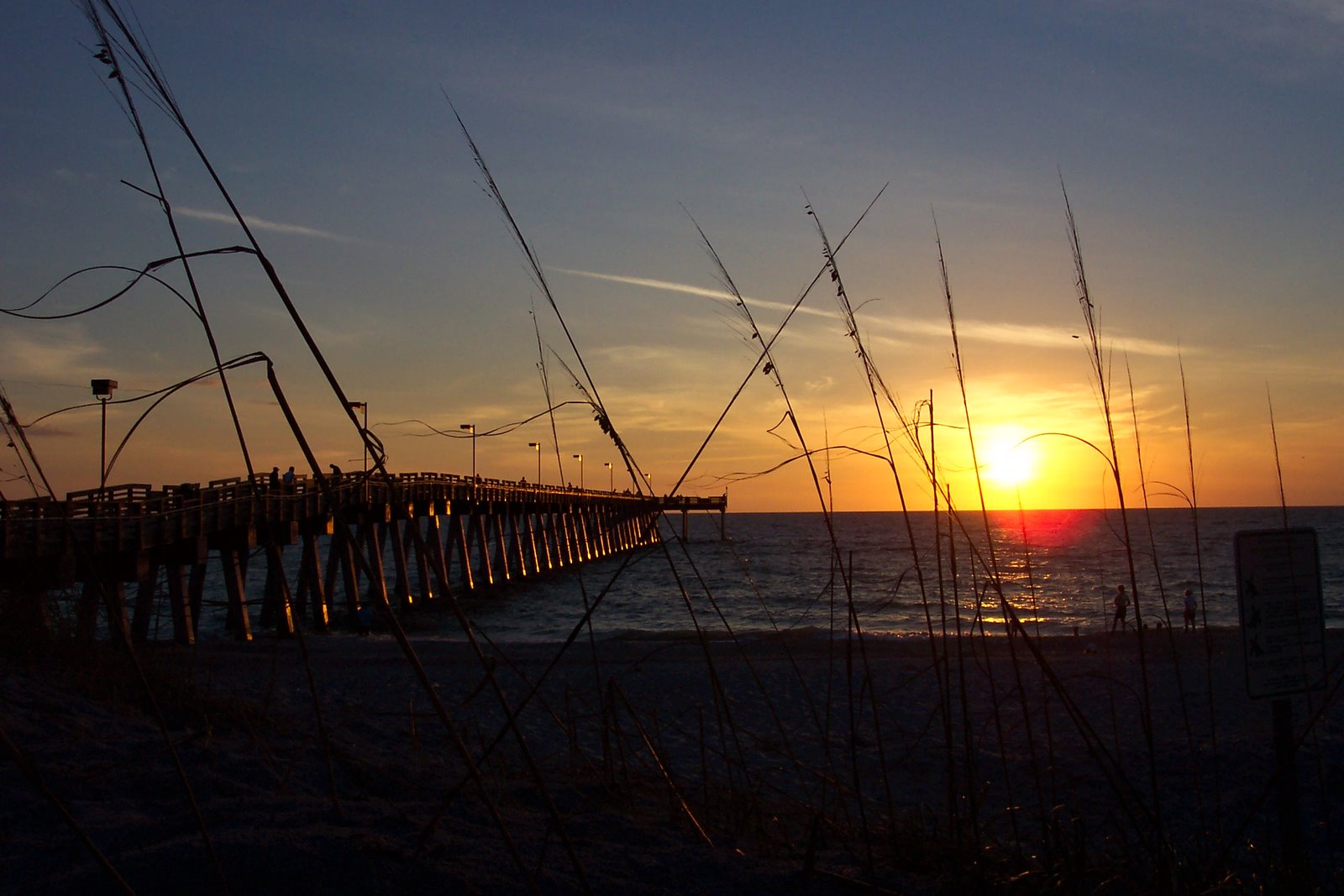 Sunny Florida