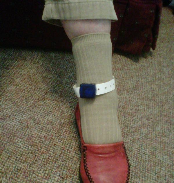 Living in the moment with Lilybird Ankle Monitors