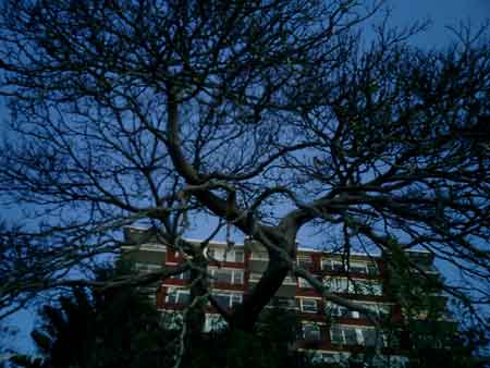 [deadfigmrinepde08mnly.jpg]