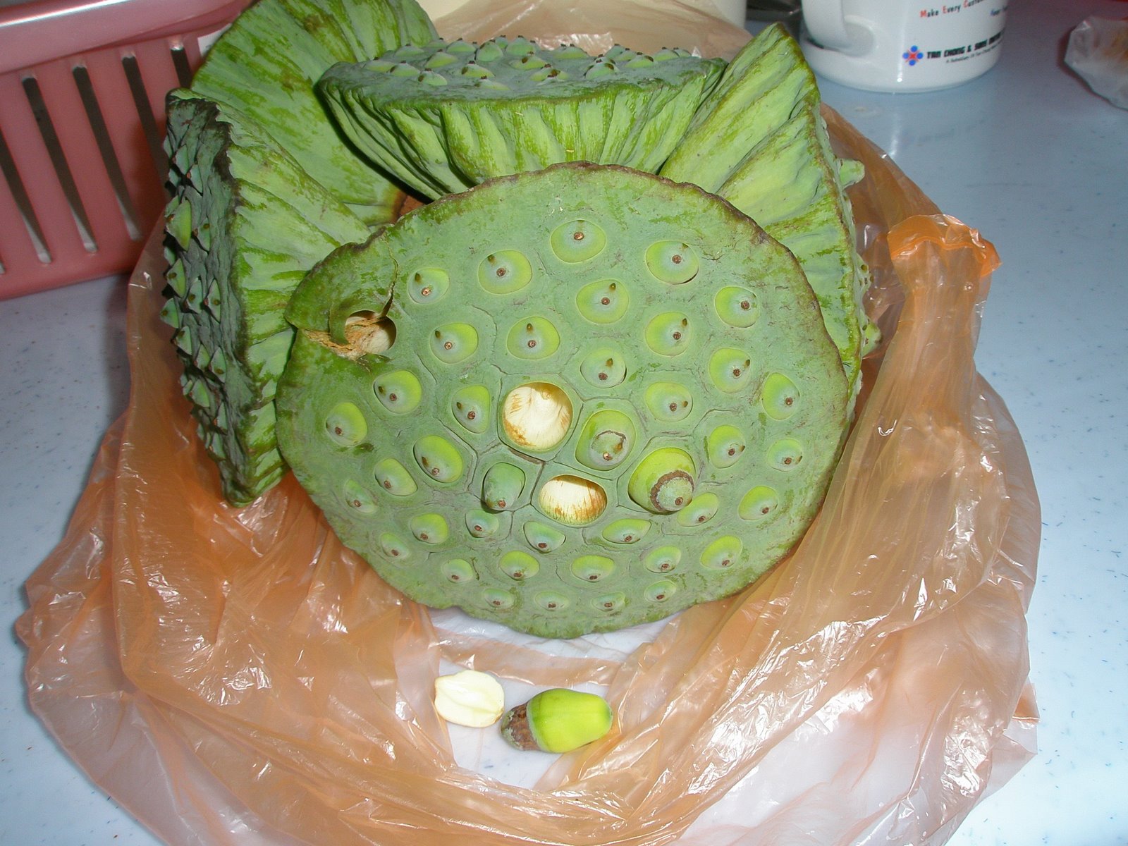 [May+09+(BBC's+surgery)+284.jpg]