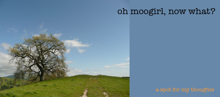 oh moogirl, now what?