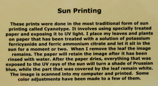 [Sun+Printing.jpg]