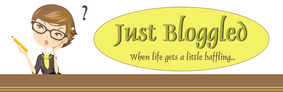 Just Bloggled: When Life Gets a Little Baffling