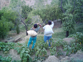 بهترين عكس‌هاي طبس ، خرو و ... .