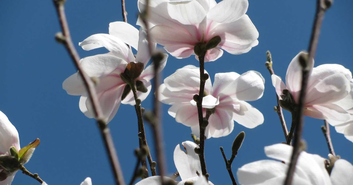 Long Island Daily Photo