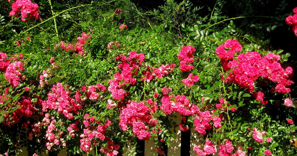 Long Island Daily Photo