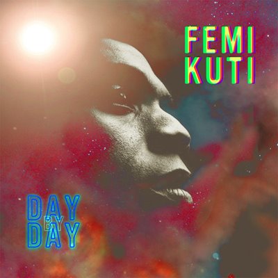 [femidaybydaycover400.jpg]