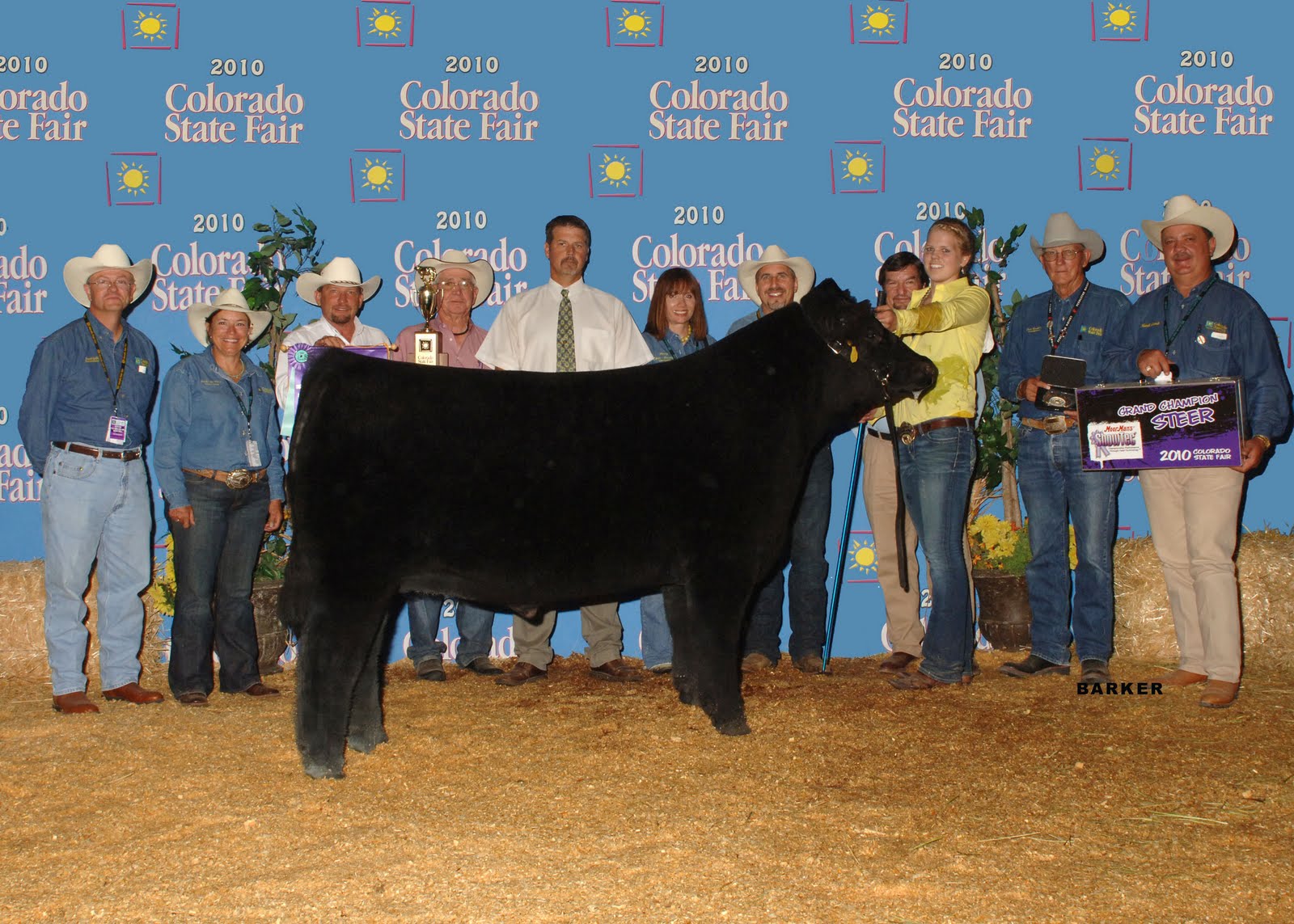 2010 Colorado State Fair Matt Lautner Cattle