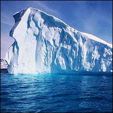 Navigate Arctic Icebergs