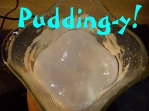 [puddingy.jpg]