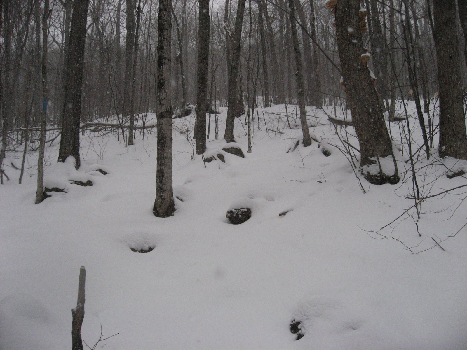 [IMG_2803.JPG]