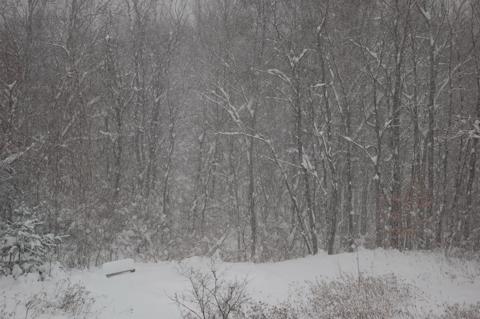 [DSC_0010.JPG]