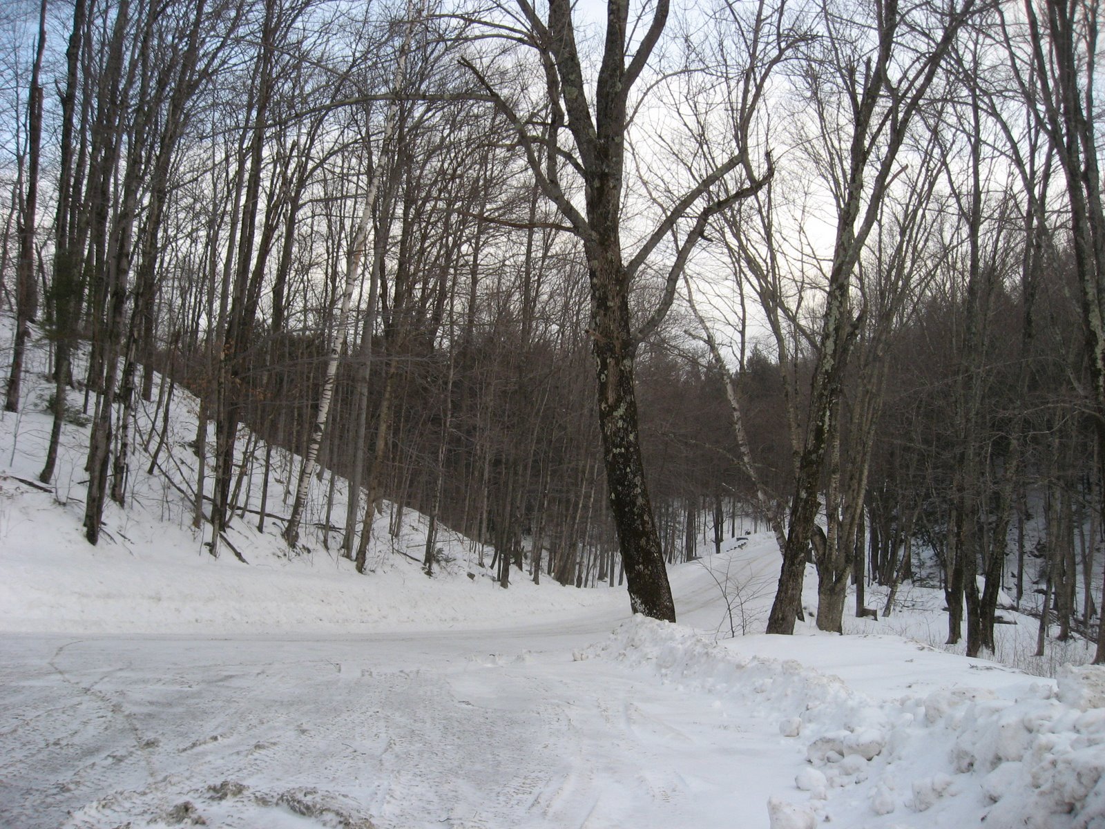 [IMG_0008.JPG]