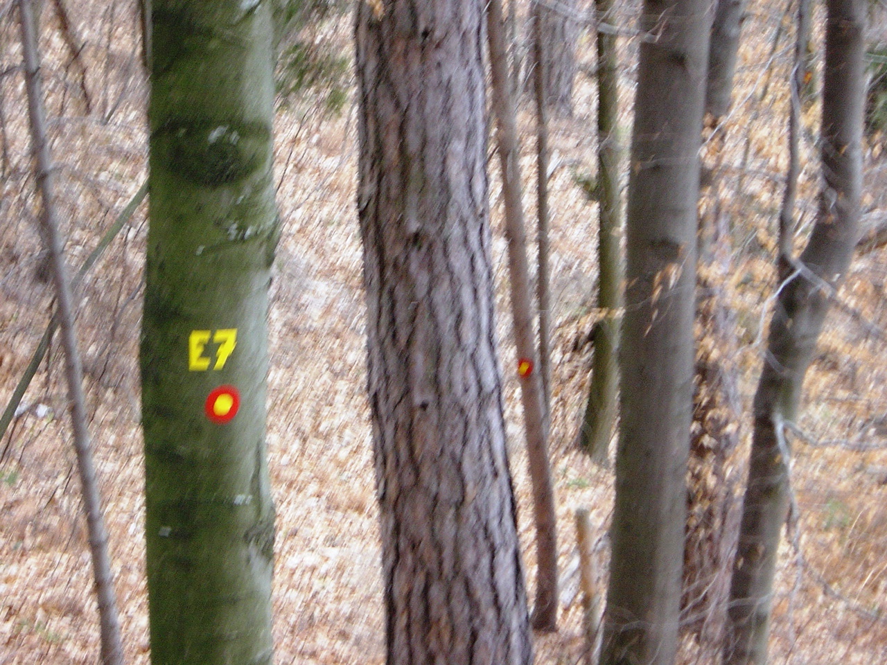 [DSC08999.JPG]
