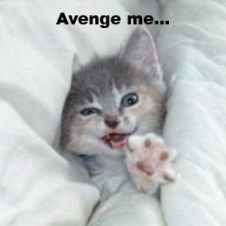 photo of a cat sinking in pillows and caption says...avenge me