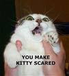 photo of a really scared kitty